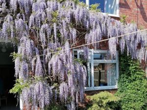 Photo 16- click for photo gallery